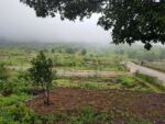Holiday Homes Near Mumbai Holiday Homes Near Mumbai